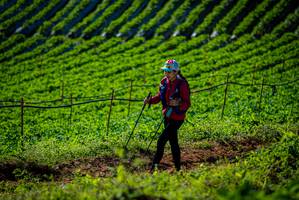 BIB: 
                            <button type="button" onclick="openModal(19160869)" class="btn btn-primary btn-sm float-right btn-popup" data-toggle="modal" data-target=".modal-high-quality">
                        <i class="fas fa-shopping-cart"></i> Add to Cart
                    </button>
                                            <button type="button" onclick="isThisMe(19160869, true)" class="btn btn-success btn-sm float-right btn-popup btn-isme hidden" data-toggle="tooltip" data-placement="bottom" title="นี่คือรูปของคุณใช่ไหม คลิกที่นี่เพื่อเอาเข้าอัลบั้ม">
                        <i class="fas fa-plus"></i> Add to album
                    </button>
                    <button type="button" onclick="isThisMe(19160869, false)" class="btn btn-warning btn-sm float-right btn-popup btn-isnotme hidden">
                        <i class="fas fa-ban"></i> Remove from album
                    </button>